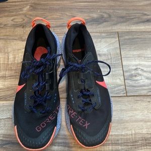 Nike Pegasus gore-Tex in size 11